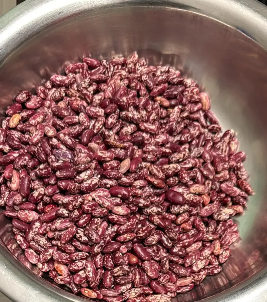 Organic Himalayan Chitra Rajma (Kidney Beans) 1 kg